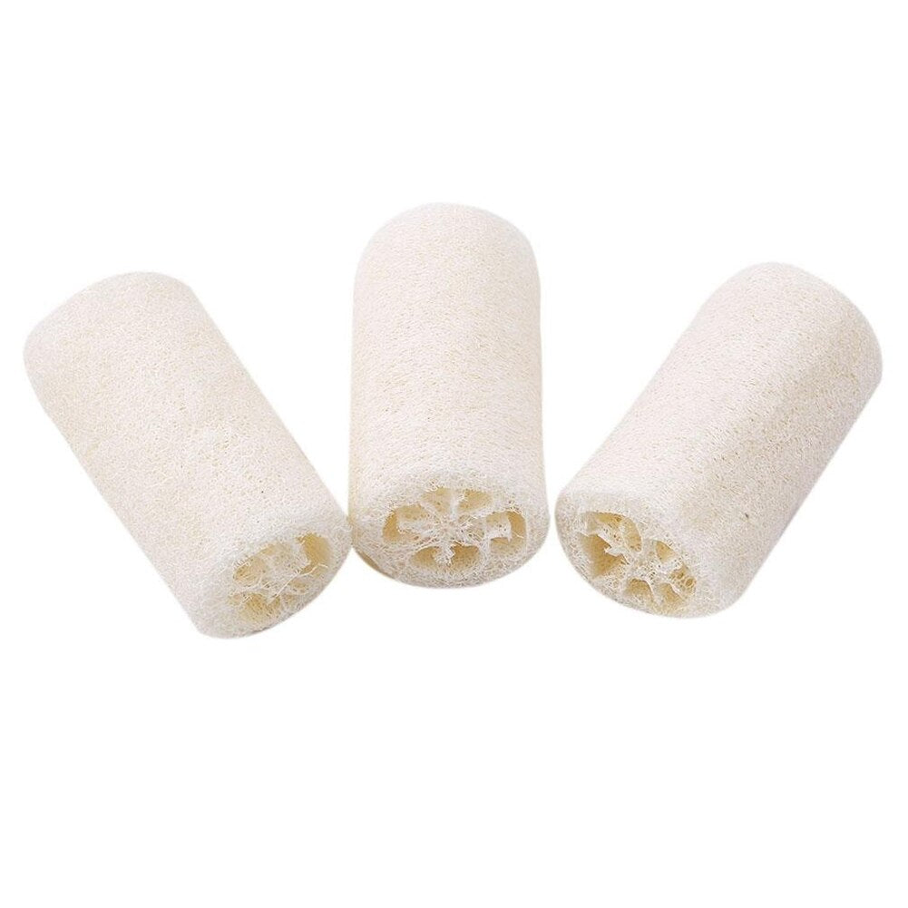 Luffa Sponge - Daily cleansing