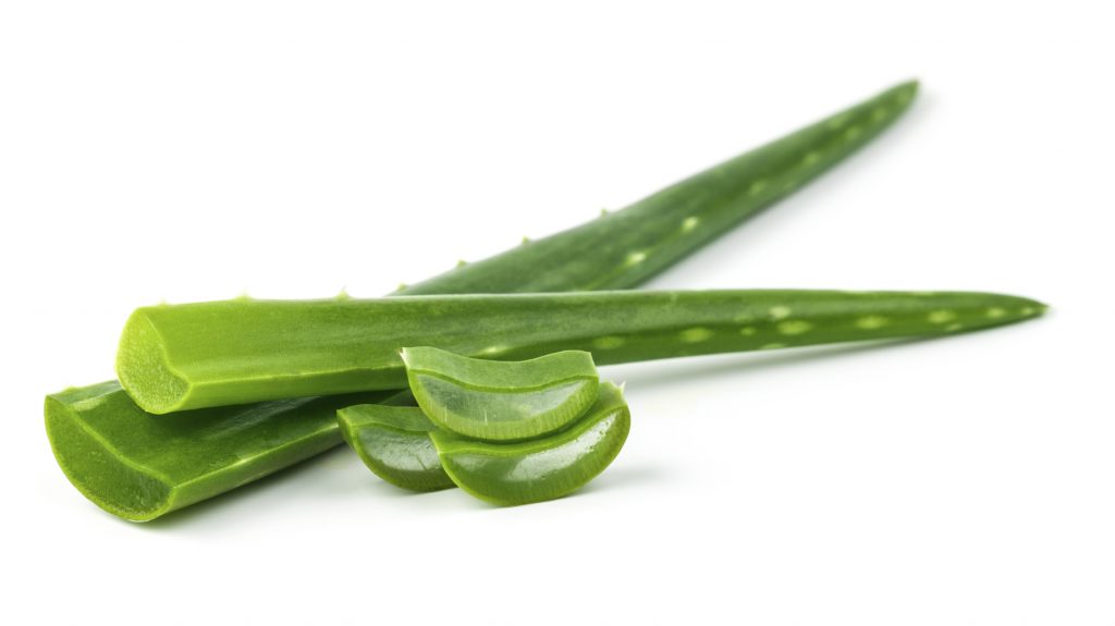 Rhassoul en pâte à l'aloe vera - bioriental