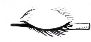Mirwed - applicateur khôl - bioriental