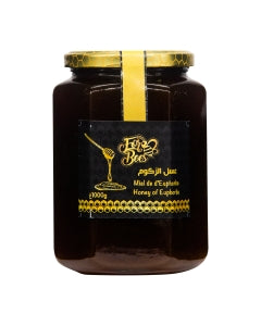 Miel d'euphorbe-Daghmous - 250 g