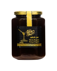 Euphorbia-Daghmous honey - 250 g