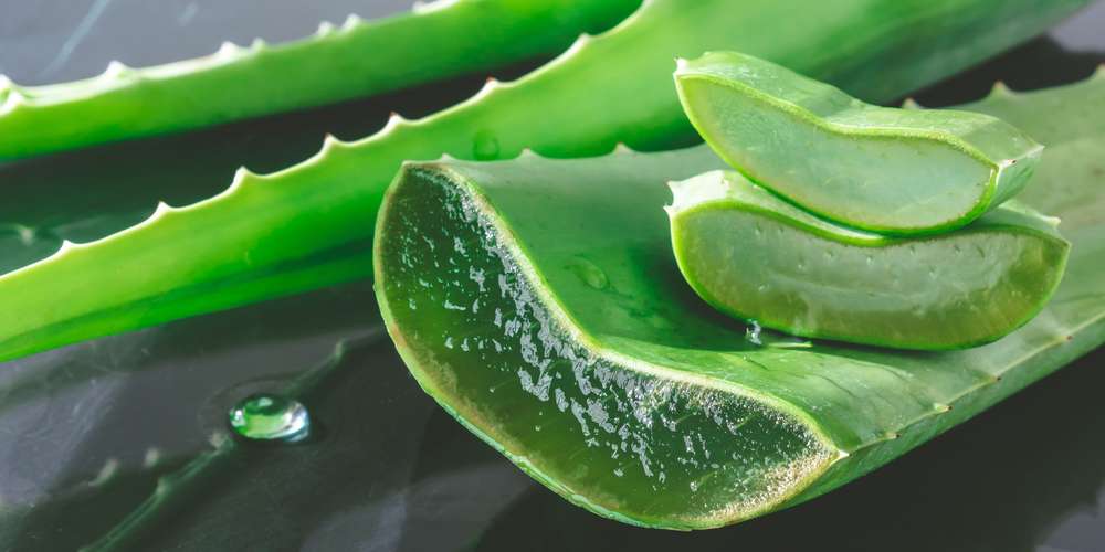 Déodorant Gel d'Aloé vera Bio et musc blanc - bioriental